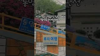 강아지랑 1박2일 통영 힐링 브이로그 짧게 보기#통영여행 #강아지와여행 #애견동반숙소  #통영숙소추천   #반려견여행  #통영펜션  #강아지펜션 #여행 #여행브이로그