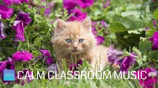 Relaxing Music For Classroom Work - Cute Kittens - Calm classroom music for children