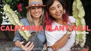 California Plant Friend Plant Haul | September 2019 | ILOVEJEWELYN|