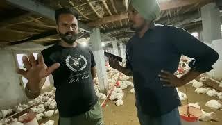 ਭਾਈ ਵਰਿੰਦਰ ਸਿੰਘ ਰਾਏ || ਪੋਲਟਰੀ ਫਾਰਮ || pind kakra ||  poultry farm  business||2023