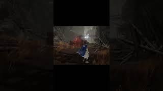 Shadow of The Erdtree New Sword Is Amazing