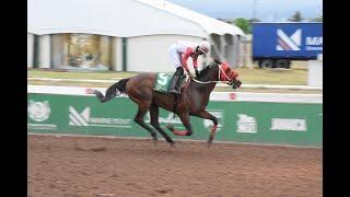 JAMAICA RACING: Intrestntimesahead Returns In Glory To Win 2024 Prince Consort Stakes