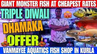 Giant Monster Fish At Cheapest Rates | Special Diwali Offer | Flat 10% Off With ₹2000 Voucher Free