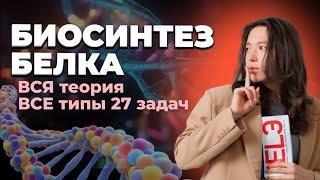 ВСЯ теория и ВСЕ типы 27 задач на биосинтез белка | ЕГЭ по Биологии