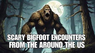 Bigfoot Encounter Stories from the US