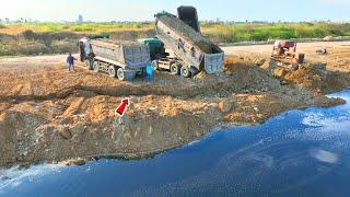 Best Action !! 25.5T Dump Trucks Waiting Soil With An Old Bulldozer Pushing Hard To Filling a Lake