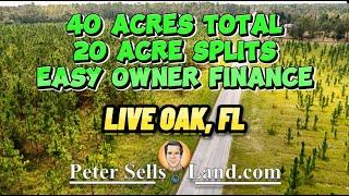 40-Acres Vacant Land in Live Oak, FL  Homestead Potential | Paved Rd, Pine Trees [10/20/30 Acres]