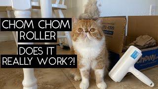 TESTING THE CHOM CHOM ROLLER | SVEN AND ROBBIE