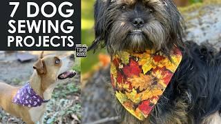 7 Things to Sew for Dogs | DIY Dog Projects