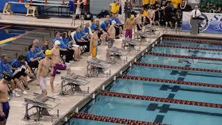 100 Breast Consolation Heat - 2019 MSHSL AA State Finals