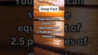 Deep Fact - Your brain can store the equivalent of 2.5 petabytes of memory...#shorts #shortsviral