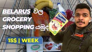 Grocery shopping in Belarus | Vitebsk | සිංහල vlog | Medical student life