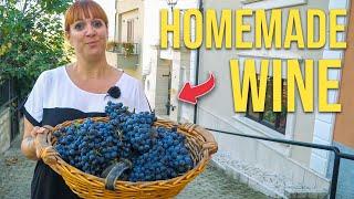 How to Make HOMEMADE WINE Like Farmers in Italy