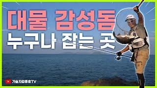 본류대 수심 조절!  밑밥요령!  조류따른채비  그리고 대물 감성돔 !