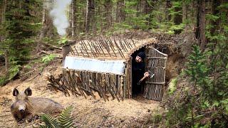 Building a warm shelter to protect against wild boar attacks