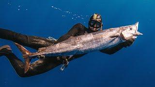 Tips For Spearfishing WAHOO and Blue Water Hunting!