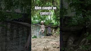 Caught on CAMERA! #alien #ufo #uap #caughtoncamera #ufotwitter #ufovegas #run #ohno #believe #ai #