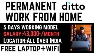 Ditto Permanent Work From Home Jobs | Real Work From Home Jobs 2024 | Easy Work From Home Jobs 2024