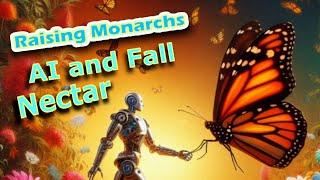 Raising Monarchs - AI and Fall Nectar (Help The Monarch Butterfly)