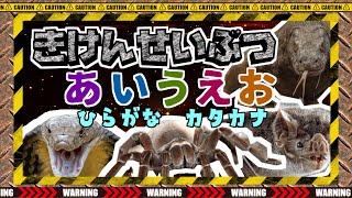 【危険生物あいうえお】子供向け  きけんないきものをおぼえよう！オニヒトデ、ミノカサゴ、コブラ、ワニ