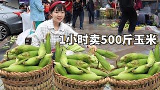 1小時賣光500公斤玉米，農村醜玉米被嬢嬢們買光，一天賺了2000多！ 【燕麥行遊】#Farm #tour