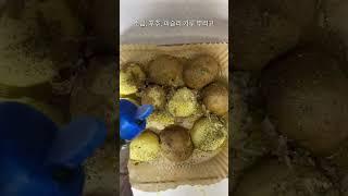 감자는 이렇게 드세요 #shorts