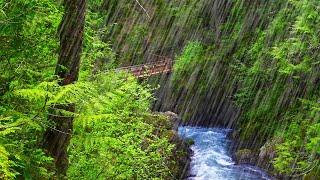 Rushing River Rapids & Rainstorm | Water Sounds with Rain White Noise