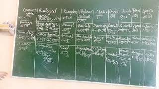 Classification of Human, house fly and mango