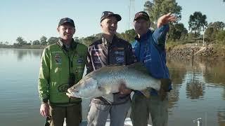 MEGA Barramundi in Rockhampton! (Disaster Struck On a 120+ Fish!)