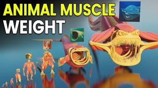 3D Animal Muscle Weight Comparison | BLOOP Weight