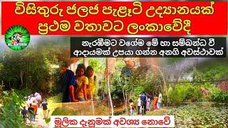 Aquatic plant farm in sri lanka |Aquarium plants farm opening | Plants | SLAnush |#plants