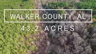 Unrestricted & Remote 43 acres with a creek in Alabama