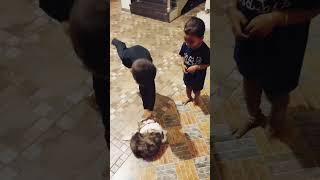 #shortsvideo#funwithdogs#shitzulover#petlover#petsinyoutube#petsinindia#conedyvideo#vizagdairies
