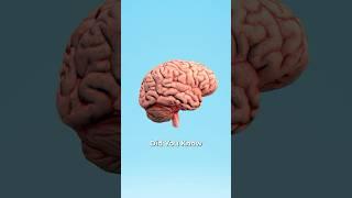 Your Brain is Super Computer