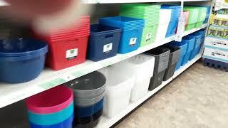 Dollar tree haul with voiceover