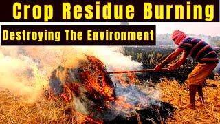 The Danger of Residue Burning: How It's Affecting Our Health and Environment