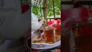 شمال رامسر جواهر ده جایی همگی خالی ️