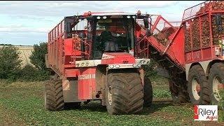 New Vervaet Hydro Trike XL with Panien beet chaser body