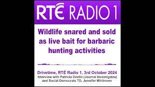 Wildlife snared and sold as live bait for barbaric hunting activities