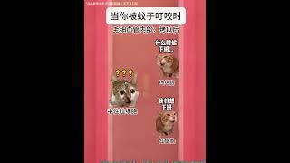 当你被蚊子叮咬时 #猫meme #猫meme小剧场 #科普 #工作细胞 #生命科学  #猫meme #搞笑 #喵哥是萌新  #meme #cat #人類迷惑行 #funny #meme猫 #蚊子