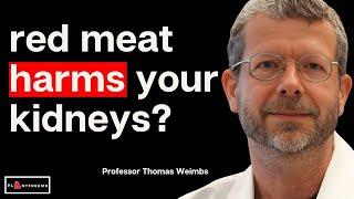  Too Much Meat Will DESTROY The Kidneys? Here Are The Facts! | Professor Thomas Weimbs