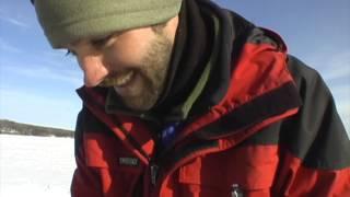 Big Brown Trout Ice-fishing Video