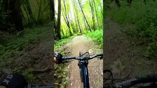 Sick new Bacon Pancake Trail at Tehaleh Bike Park! #mtb #evergreen #bike #totalmtb#shorts