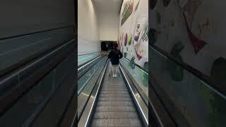 Me after swiping my card 10x today! #heidigeee #dailylife #vlog #random #robinsons #broccoli