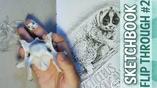 Sketchbook *flip through*#1.2 | Kallerhult Creations