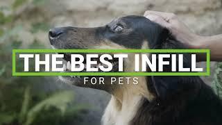 The Best Infill to Use If You Have Pets