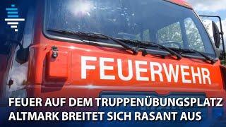 Feuer auf dem Truppenübungsplatz Altmark breitet sich rasant aus