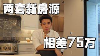 地产经纪人Vlog | 奥斯汀新房源上市前的宣传准备，也许有一款适合你？ | 德州奥斯汀  | 奥斯汀地产经纪人 | 德州地产 | 奥斯汀房产