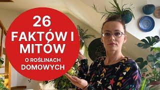 Fakty i mity o roślinach domowych  Vlog