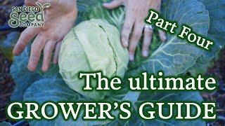 Understanding Cultural Practices to Grow Your Own Food Efficiently | Ultimate Grower's Guide